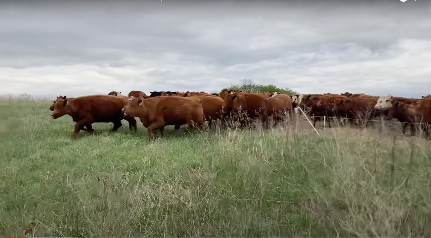 Automatic Gate Opener | Teeter Farm Tech